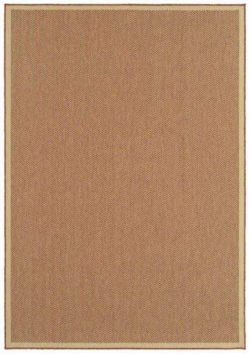 Suncoast Willowbrook Coral